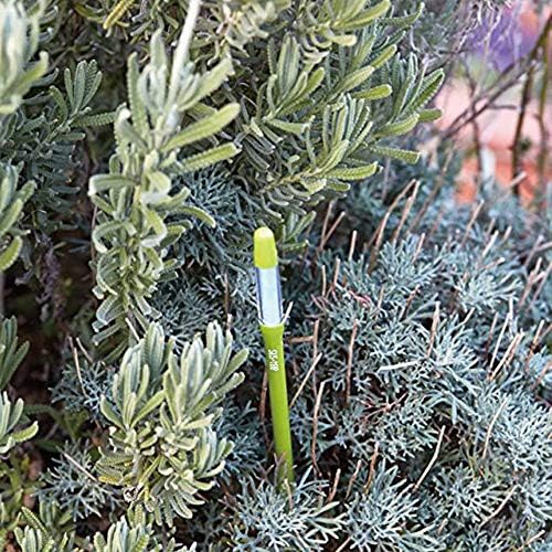 IPPINKA Sustee Aquameter, Bundle of 12, House Plant Soil Moisture Meter, Best for Indoor Potted Plants - Large Green Refillable - Image 6