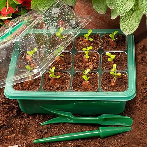 Seed Starter Tray with Built-in LED Grow Light, Adjustable Vent Humidity Dome Germination Box, Breathable Plant Seed Starting Pots, Indoor Garden Greenhouse Seedling (2-13 Cell Round GN) - Image 5