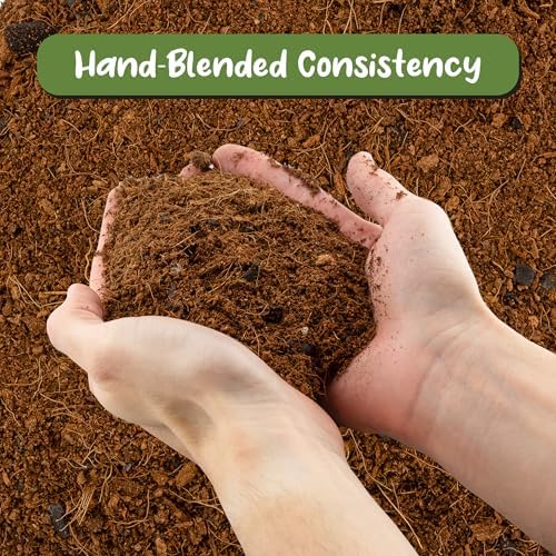 Soil Sunrise Terrarium Potting Soil Mix (8 Quarts) w/Blended Filtering Charcoal Custom Made for Terrariums - Image 3