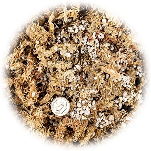 Gardenera Sphagnum Moss Potting Mix for Carnivorous Plants, Moss and Perlite Blend for Potting Venus Fly Traps, Sarracenia, Pitcher Plants - 75% Sphagnum Moss + 25% Perlite - Made in USA - 5 Quart - Image 3