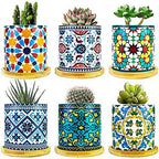 6 Pack Mandala Succulent Plant Pot with Bamboo Trays, Ceramic Multicolored Succulent Container Planter Pot for Small Plant by Ascrafter