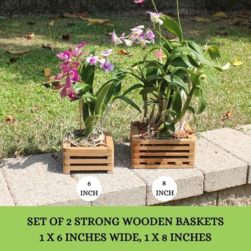 Set of 2 Wooden Orchid Baskets with Hangers, Hanging Vanda Baskets for Outside - Image 2