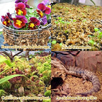 Legigo 2.2LB Sphagnum Moss for Plants- 40QT Natural Long Fibers Orchid Moss - Image 5