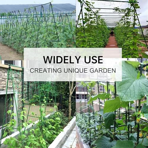 Garden Stakes 3ft, 3 Feet Metal Plant Stakes 30 Pack for Gardening and Farm, Plastic Coated Plant Support for Tomato, Cucumber, Bean, Flower, Potted and More Climbing Plants - Image 7