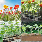 Thealyn 36 Inch 20 Packs Plant Support Stake Garden Single stemmed Plant Support Hoops Plant Prop for Flowers Orchid Tomatoes Peony Lily Rose Gladiolus (36 inch) - Image 6