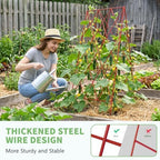 DoCred 39.4" H Cucumber Trellis, 2 Pack Foldable A Frame Garden Trellis - Image 5