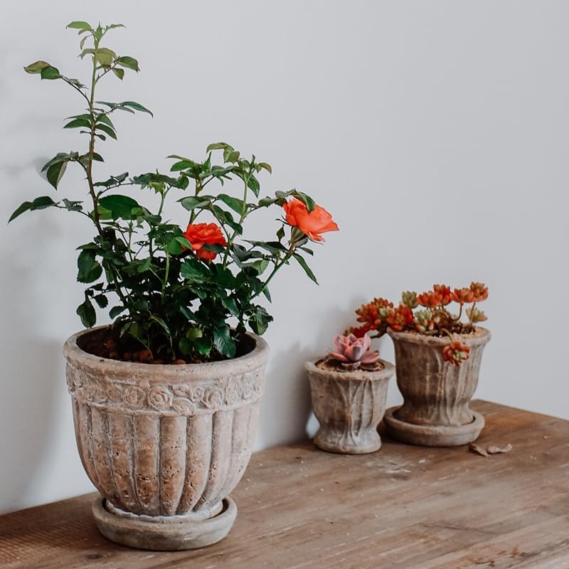 8" Rustic Weathered Terracotta Plant Pot with Saucer, Embossed Rose Pattern Planter with Drainage Hole, Vintage Flower Pot - Image 4