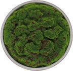 Hand Painted Cement Moss Bowl | 12 Inch | Artificial Moss Centerpiece | Decorative Coffee Table Bowl - Image 7