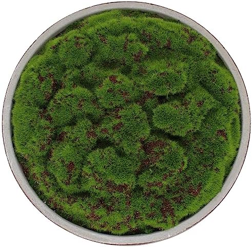 Hand Painted Cement Moss Bowl | 12 Inch | Artificial Moss Centerpiece | Decorative Coffee Table Bowl - Image 7
