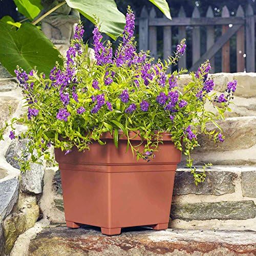 Root & Vessel Countryside Square Planter, Terra Cotta, 18-Inch - Image 4