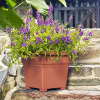 Root & Vessel Countryside Square Planter, Terra Cotta, 18-Inch - Image 4