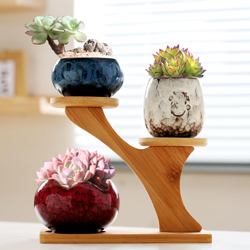 YYW Succulent Pots with Tier Bamboo Stand, Indoor Small Flower Cactus Pots - Image 2