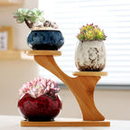YYW Succulent Pots with Tier Bamboo Stand, Indoor Small Flower Cactus Pots - Image 2