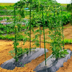 Xiny Tool Garden Stakes, 15 Pack 8 FT Steel Plant Garden Tomato Stakes with Plastic Coat for Climbing Plants (96 Inch) - Image 5