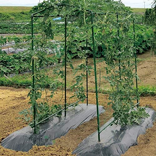 Xiny Tool Garden Stakes, 25 Pack 4 Ft Steel Plant Garden Tomato Stakes with Plastic Coat for Climbing Plants (25 Pack 48 Inch) - Image 4