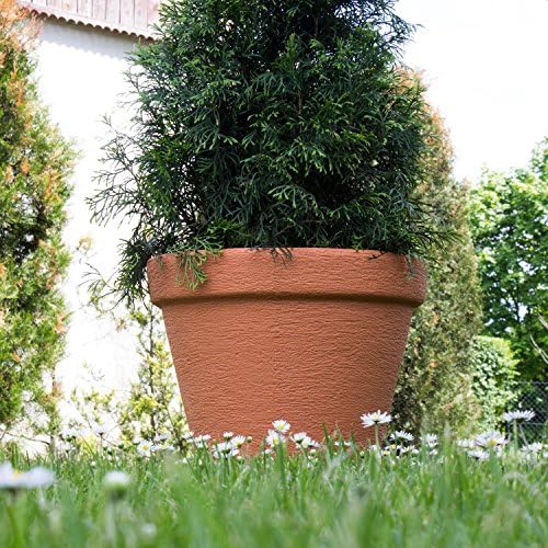 Prosper Plast Classic Flowerpot, 35 x 3 cm, White, 35x35x3 cm - Image 3