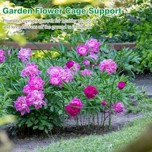 4 Pack Peony Cages and Supports Cages 13" D x 22.8" H Sturdy Metal Support Frame for Peonies & Roses Natural Bouquet Shape Garden Stakes for Outdoor Plants Flowers Ornamental (Green) - Image 6