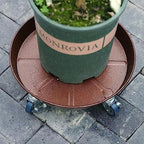 ARTLINE 12" Round Plant Stand with Lockable Wheels, 200lbs Heavy Duty for Indoor Outdoor, Large Rolling Dolly Planter Caddy on Casters to Carry Potted Flower Pot, Round Metal Tray NO Holes, 2 Pack - Image 6