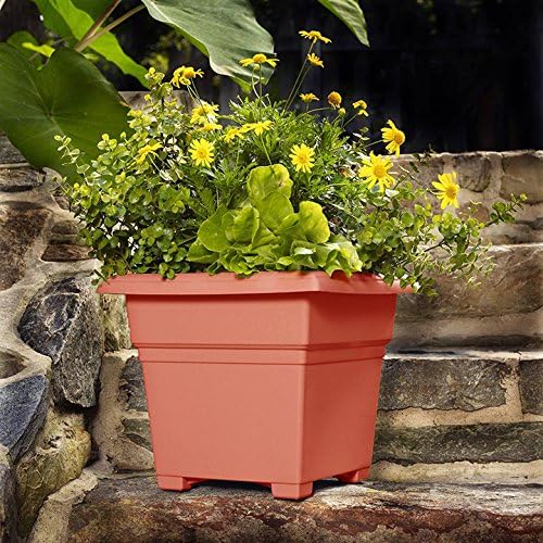 Root & Vessel Countryside Square Planter, Terra Cotta, 18-Inch - Image 5
