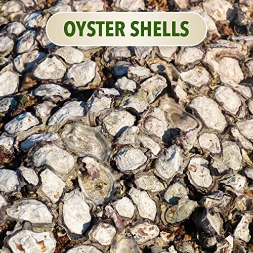 The Bud Grower | California Hot Soil Premium Oyster Shell Flour | 6 lbs of Fine Powder 100% Organic Oyster Shell Flour | All-in-One Grow Tent Kit's & Supplies - Image 6