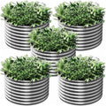5 Pack Round Galvanized Raised Garden Bed Outdoor, Metal Garden Bed for Vegetables, Above Ground Garden Box for Flower, Steel Raised Beds for Gardening - 2FT by Mostmahes