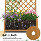 S AFSTAR Raised Garden Bed with Trellis, Indoor & Outdoor Wood Elevated Plant Container with Diamond Shaped Trellis & Drain Hole, Above Ground Garden Bed for Vine Climbing Plants - Image 4