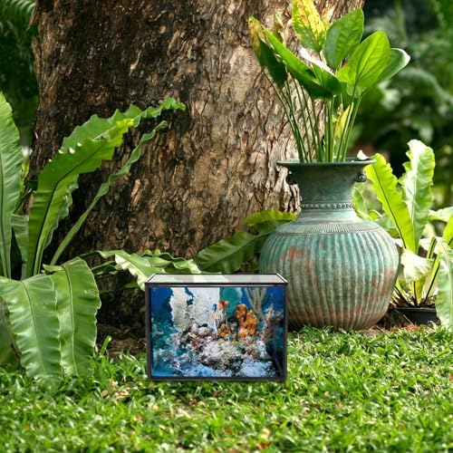 Glass Terrarium Plant Holder for Flowers and Patio Garden Display - Image 7