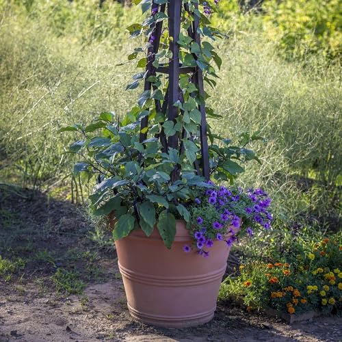 Crescent Garden Brunello Planter, Classic Rolled-Rim Plant Pot, Lightweight, Indoor & Outdoor Large Flowerpot - UV Safe & Frost Resistant - 27" W (Rust) - Image 3