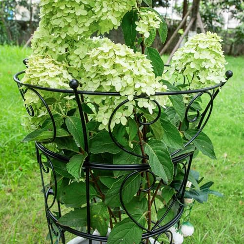 Large 24.6"x17" Peony Support Rings - Metal Plant Support - Image 5