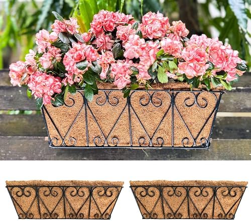 LaLaGreen Metal Wall Planter (16 in, 2 Pack) Black Coco Liner Flower Boxes by L%C3%A1L%C3%A1Green