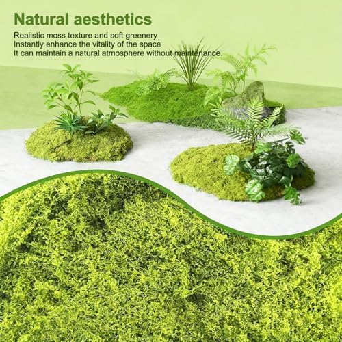Preserved Green Moss Mat for Decoration Carpet Grass Wall, Natural Decorative for Plants Indoor with Base Fabric, Artificial Moss Mat for Wedding, Floral DIY (39.37 * 78.74 inch) - Image 5