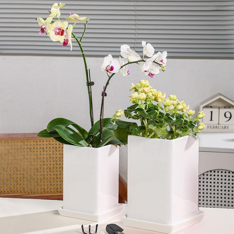 Square Ceramic Plant Saucer Tray 8 9 10 Inch White, 9.3" OD x8.3 ID x1.3 Deep, Sturdy Heavy Duty Glazed Planter Drip Flower pots with Catch Basin for Indoor Outdoor Plants(10" White) - Image 3