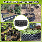 RooTrimmer Air Pruning Containers 60 Gallon 2P, Raised Garden Bed Large Tree Pos New Plastic Nursery Pot Fruit Vegetable Garden Grow beds (4 ft Diameter), Black - Image 2