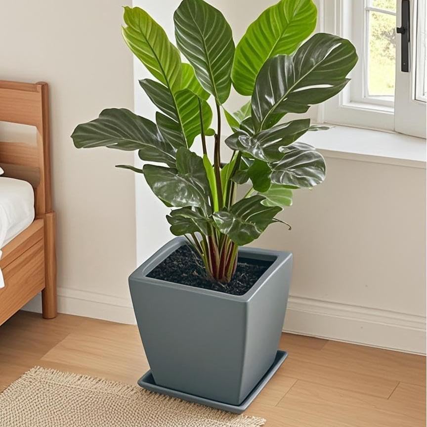Square Ceramic Plant Saucer Tray 12 13 14 Inch Grey,14" OD x12.2 ID x1.6 Deep, Sturdy Heavy Duty Glazed Planter Drip Flower pots with Catch Basin for Indoor Outdoor Plants(14" Grey) - Image 4