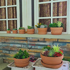Yishang Large Terracotta Pots with Saucer/Tray for Succulent - 8 Inch Cactus Plant Containers Indoor Garden Bonsai Pots with Drainage Hole - Set of 2, Unglazed Clay Ceramic Pottery Planter - Image 5