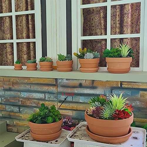 Yishang Large Terracotta Pots with Saucer/Tray for Succulent - 8 Inch Cactus Plant Containers Indoor Garden Bonsai Pots with Drainage Hole - Set of 2, Unglazed Clay Ceramic Pottery Planter - Image 5