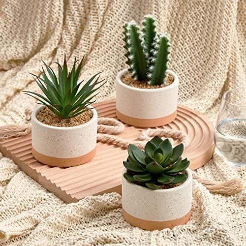 Artificial Succulent Plants in Ceramic Pots Set of 3 - Image 2