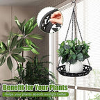 Enhon 6 Pack Plant Hanger, 12" Metal Hanging Planter for Indoor Plants - Image 3