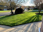 10-0-20 Emerald Lawn Fertilizer 18lbs - Slow-Release Nitrogen, Iron, & Micronutrients - Dark Green Lawn for Tall Fescue, St. Augustine, Zoysia, Centipede - Image 3