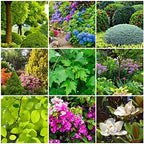 The Old Farmer's Almanac Tree & Shrub Fertilizer Spikes (Box of 12 Spikes - 3 Lbs) - Image 3