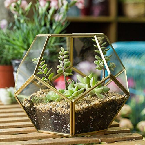 NCYP No Door Glass Terrarium for Small Cactus, Succulents - Gold Geometric Terrarium Pot, Home Office Tabletop Miniature Garden Decor, 6.8 x 6.8 x 5.9 Inches, Handmade (No Plants) - Image 5