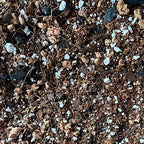 Peace Lily Imperial Houseplant Potting Soil Mix by rePotme - Junior Bag (4 Quarts) - Image 5