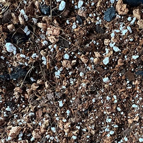 Peace Lily Imperial Houseplant Potting Soil Mix by rePotme - Junior Bag (4 Quarts) - Image 5