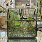WGV Geometric Planter Terrarium, Width 6" x 3.5" Height 6" Clear Glass Black Frame DIY Succulent air Plant Miniature Fairy Garden Windowsill Tabletop Decor, House 1 Piece - Image 4