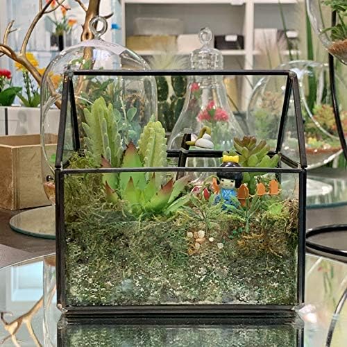 WGV Geometric Planter Terrarium, Width 6" x 3.5" Height 6" Clear Glass Black Frame DIY Succulent air Plant Miniature Fairy Garden Windowsill Tabletop Decor, House 1 Piece - Image 4