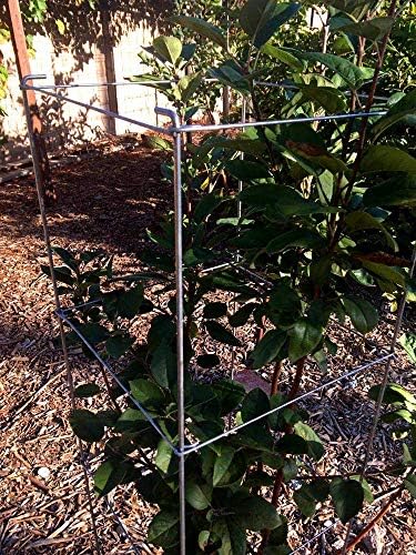 46" Height 12" Width 2PCS Galvanized Square Folding Tomato Cage,Plant Support Stake Tower - Image 6