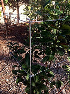 46" Height 12" Width 2PCS Galvanized Square Folding Tomato Cage,Plant Support Stake Tower - Image 6