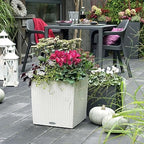 Lechuza Cube Cottage 50 White, Self-Watering Square Planter, H19.3 L19.3 W19.3 in - Image 6