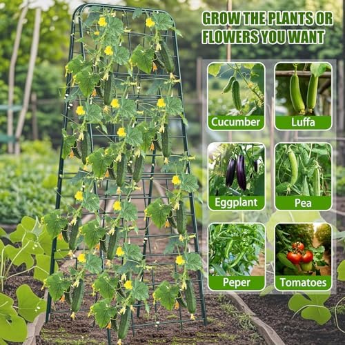 Heavy Duty 50"x17" Adjustable A-Frame Trellis for Climbing Plants – Rust-Proof Metal Garden Trellis with Dense Grid Design, Perfect for Raised Beds, Tomatoes, Cucumbers & Outdoor Vines (Green, 1 Pcs) - Image 5
