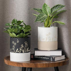 Nihow Self Watering Pots for Indoor Plants,6 Inch,Black,Hand Painting - Image 5
